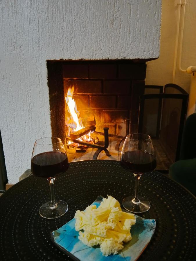 Gite Cosy Lac De Payolle Campan Eksteriør bilde