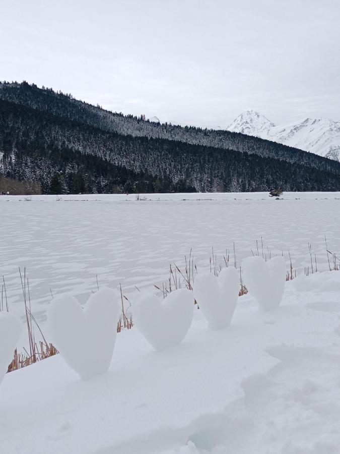 Gite Cosy Lac De Payolle Campan Eksteriør bilde