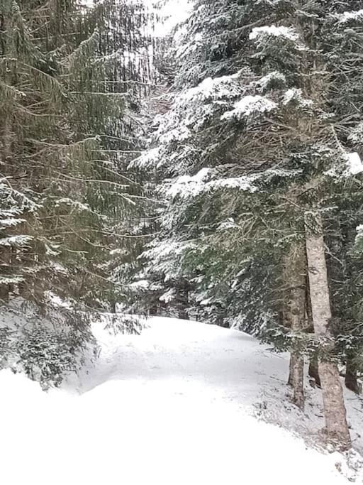 Gite Cosy Lac De Payolle Campan Eksteriør bilde